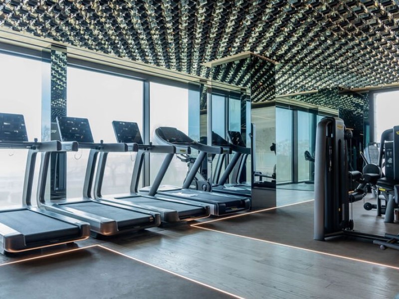 palestra41